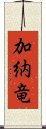 加納竜 Scroll