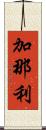 加那利 Scroll