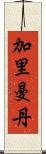 加里曼丹 Scroll