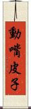動嘴皮子 Scroll