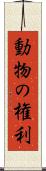 動物の権利 Scroll