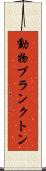 動物プランクトン Scroll