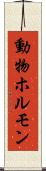 動物ホルモン Scroll