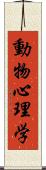 動物心理学 Scroll