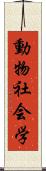 動物社会学 Scroll