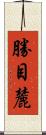 勝目麓 Scroll