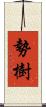 勢樹 Scroll