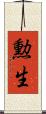 勲生 Scroll