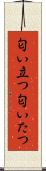 匂い立つ Scroll