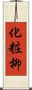 化粧柳 Scroll