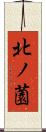 北ノ薗 Scroll