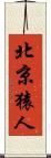 北京猿人 Scroll