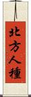 北方人種 Scroll
