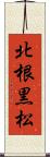 北根黒松 Scroll