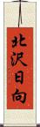 北沢日向 Scroll