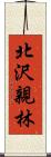 北沢親林 Scroll