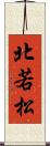 北若松 Scroll
