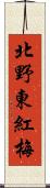 北野東紅梅 Scroll