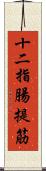 十二指腸提筋 Scroll