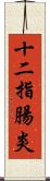 十二指腸炎 Scroll
