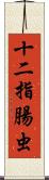 十二指腸虫 Scroll