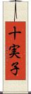 十実子 Scroll