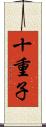 十重子 Scroll