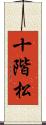 十階松 Scroll