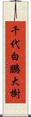 千代白鵬大樹 Scroll