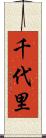 千代里 Scroll