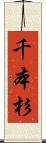 千本杉 Scroll