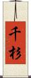 千杉 Scroll