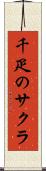千疋のサクラ Scroll