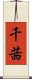 千茜 Scroll