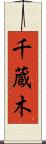 千蔵木 Scroll