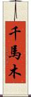 千馬木 Scroll