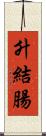 升結腸 Scroll