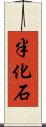 半化石 Scroll
