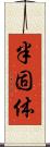 半固体 Scroll