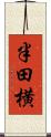 半田横 Scroll