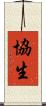 協生 Scroll