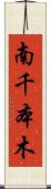 南千本木 Scroll