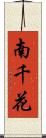 南千花 Scroll