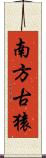 南方古猿 Scroll