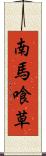 南馬喰草 Scroll