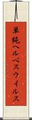 単純ヘルペスウイルス Scroll