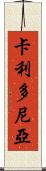 卡利多尼亞 Scroll