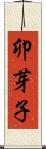 卯芽子 Scroll