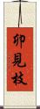 卯見枝 Scroll