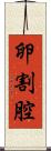 卵割腔 Scroll